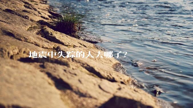 地震中失踪的人去哪了？